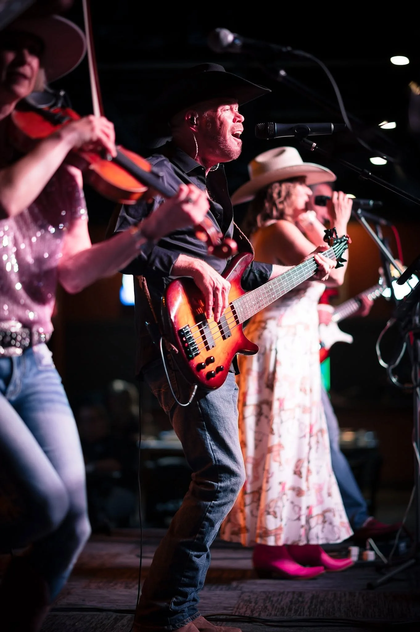 Fiddle and bass players performing up close